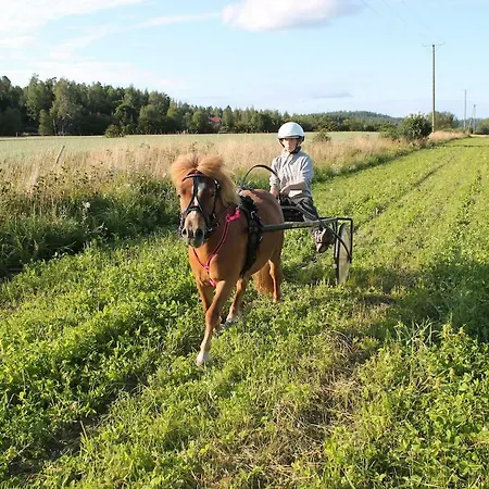 Vendégház Lomakivi Kausala