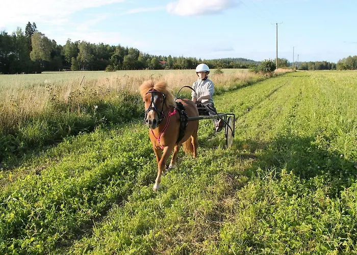 ゲストハウス Lomakivi Kausala